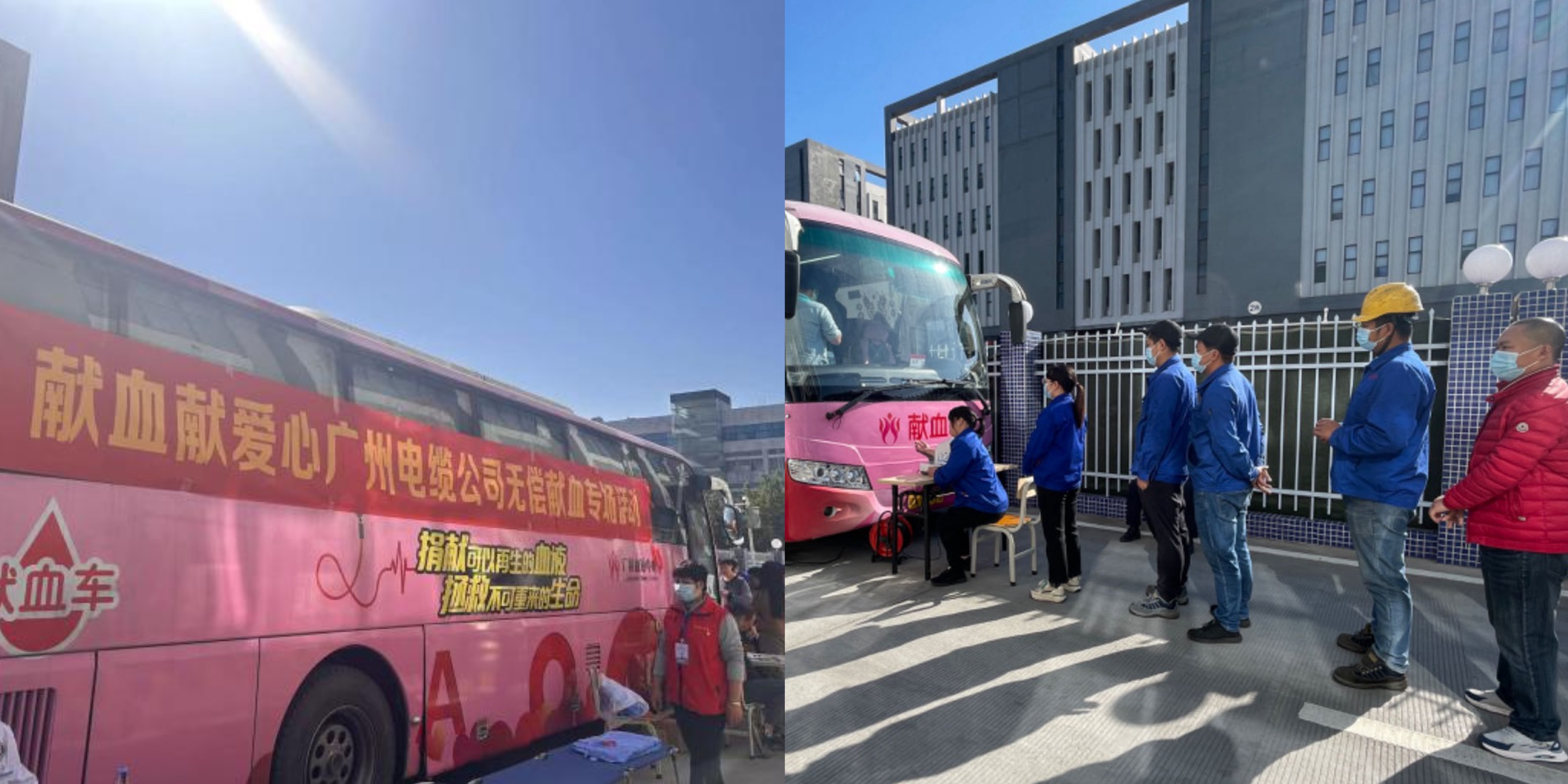 传输正能量|广州电缆开展无偿献血专场活动