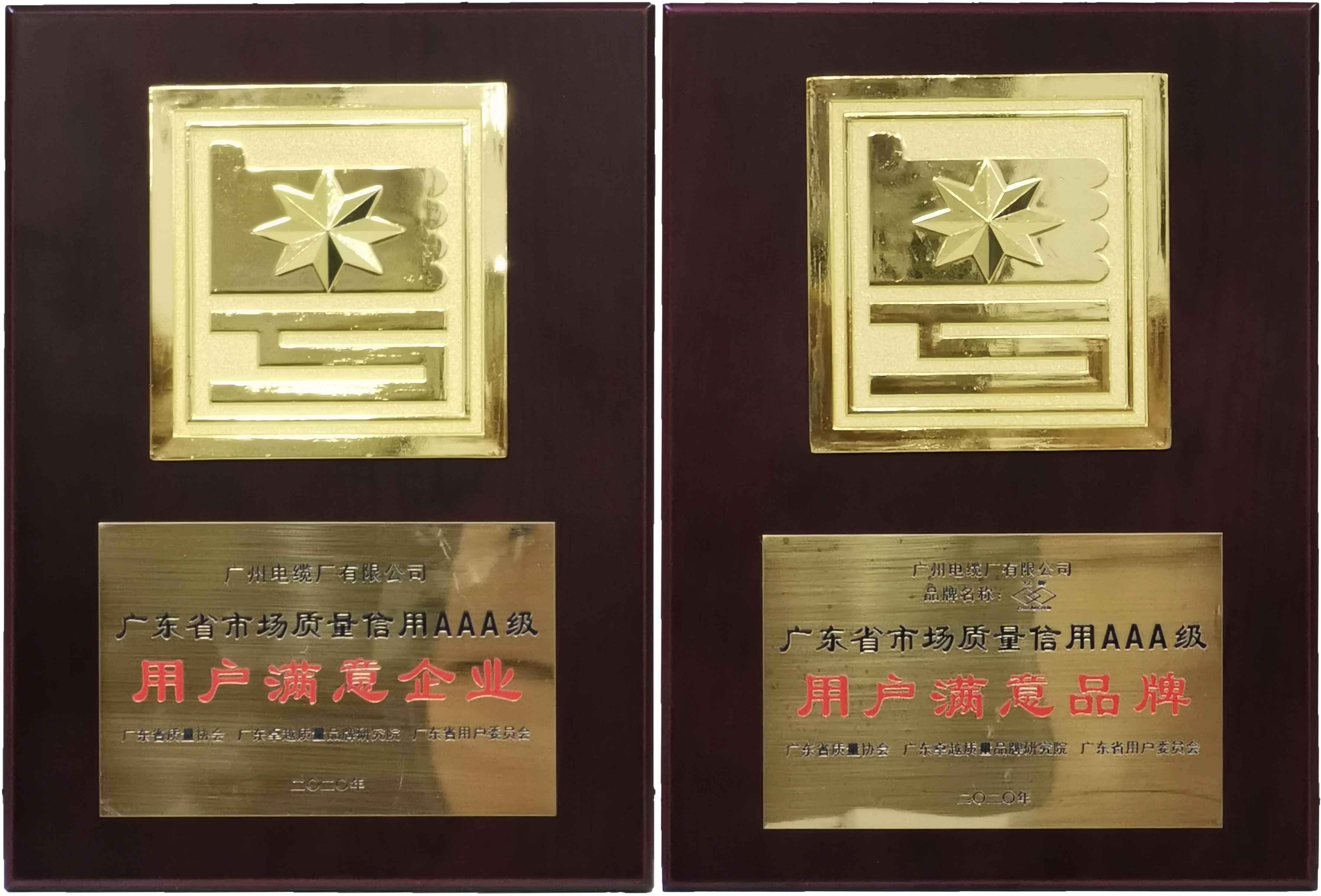 广州电缆接受广东省市场质量信用AAA级用户满意企业和品牌荣誉奖牌 广州电缆接受广东省市场质量信用AAA级用户满意企业和品牌荣誉奖牌