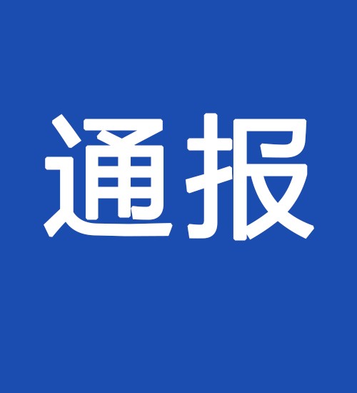 中共广州电缆厂有限公司委员会关于巡察整改情况的通报