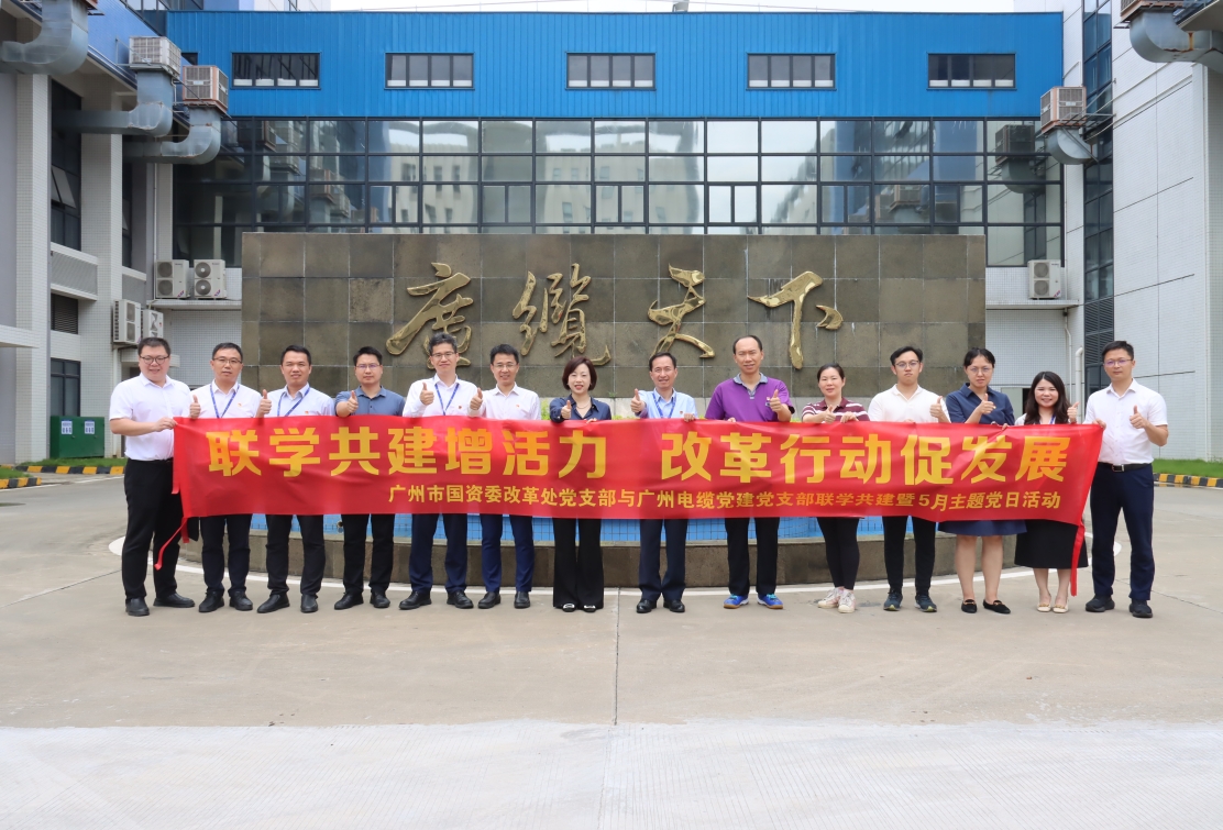 广州市国资委改革处党支部与广州电缆党建党支部开展联学共建活动 广州市国资委改革处党支部与广州电缆党建党支部开展联学共建活动
